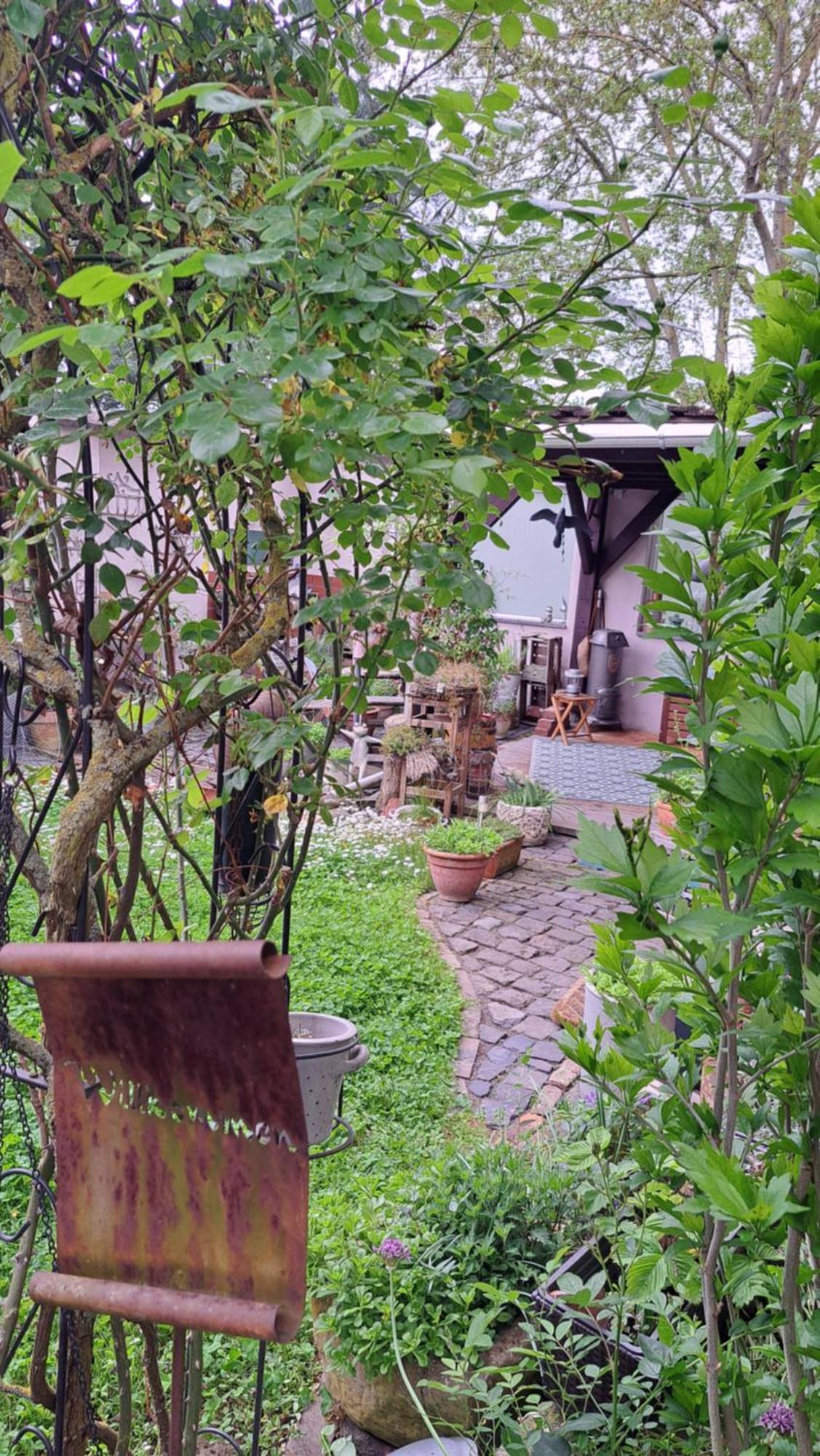 Ferienwohnung Vogt Mertloch المظهر الخارجي الصورة