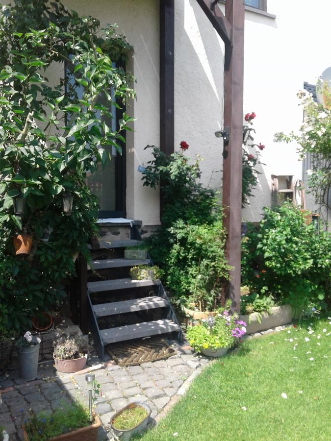 Ferienwohnung Vogt Mertloch المظهر الخارجي الصورة